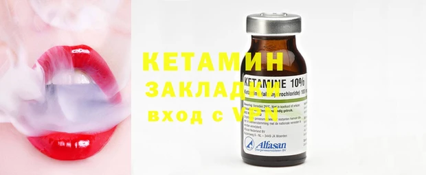 крисы Алексин