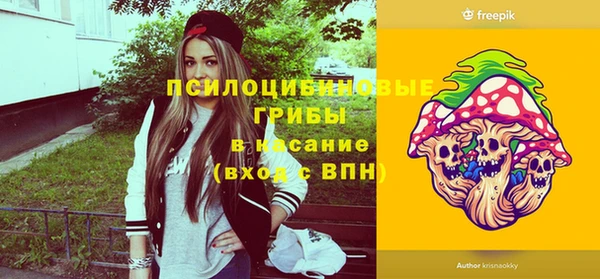 дживик Алзамай