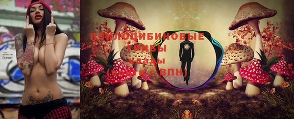 крисы Алексин