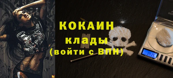 дживик Алзамай