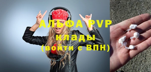 крисы Алексин