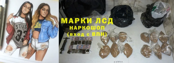 крисы Алексин